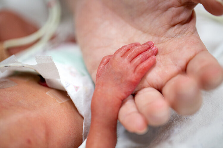 Winizge Hand eines Frühgeborenen in der Hand eines Erwachsenen
